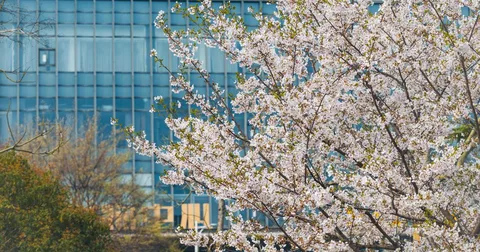 Japan High School Tuition 2026: ¥457,200, No Income Cap