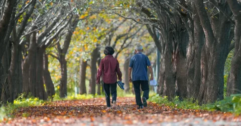 Living on a Pension: No Income Tax up to 2.14 Million Yen