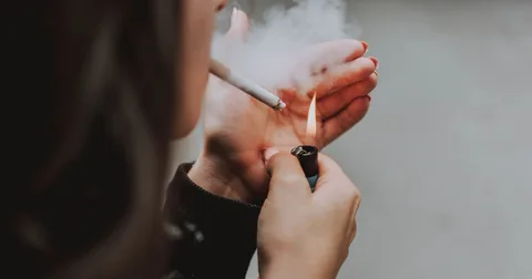Japan Tobacco Price Rises 2026-2029: Heated Tobacco First