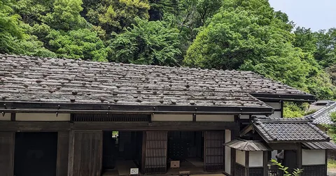 잡손공제와 재해감면법 어느 쪽이 유리한가|계산방법과 선택